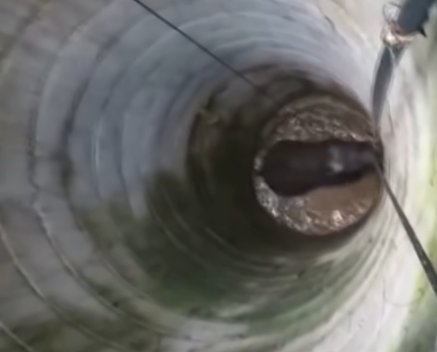 Workers Spend Hours Trying To Save An Elephant Who’d Fallen Into A Deep Well