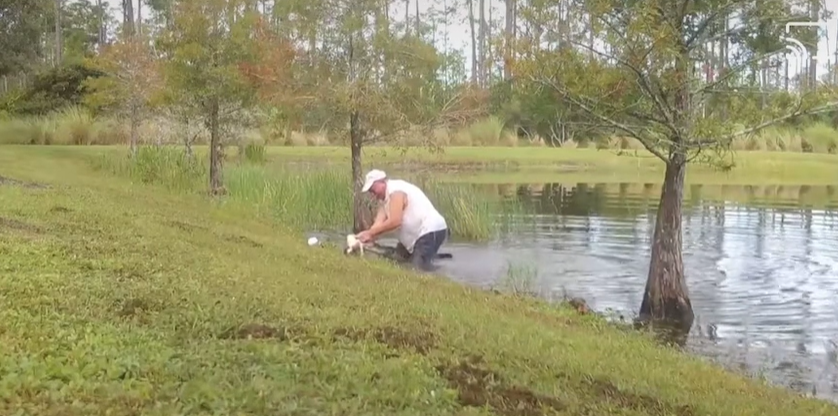 Florida Man Saves Puppy Dragged Into Pond By Alligator